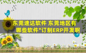 东莞速达软件 东莞地区有哪些软件*订制ERP开发啊